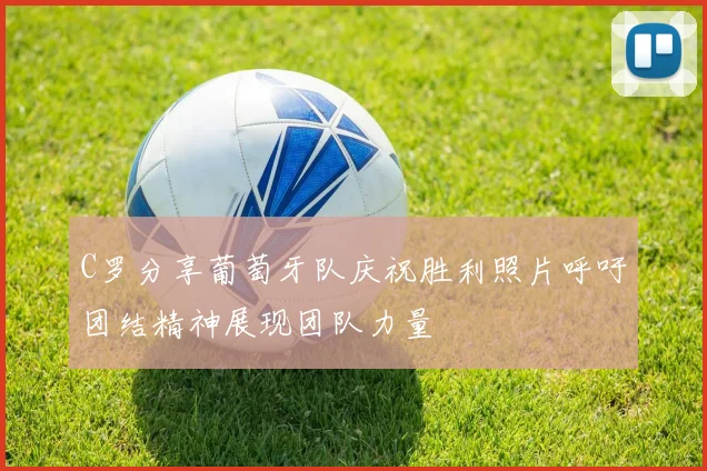 C罗分享葡萄牙队庆祝胜利照片呼吁团结精神展现团队力量
